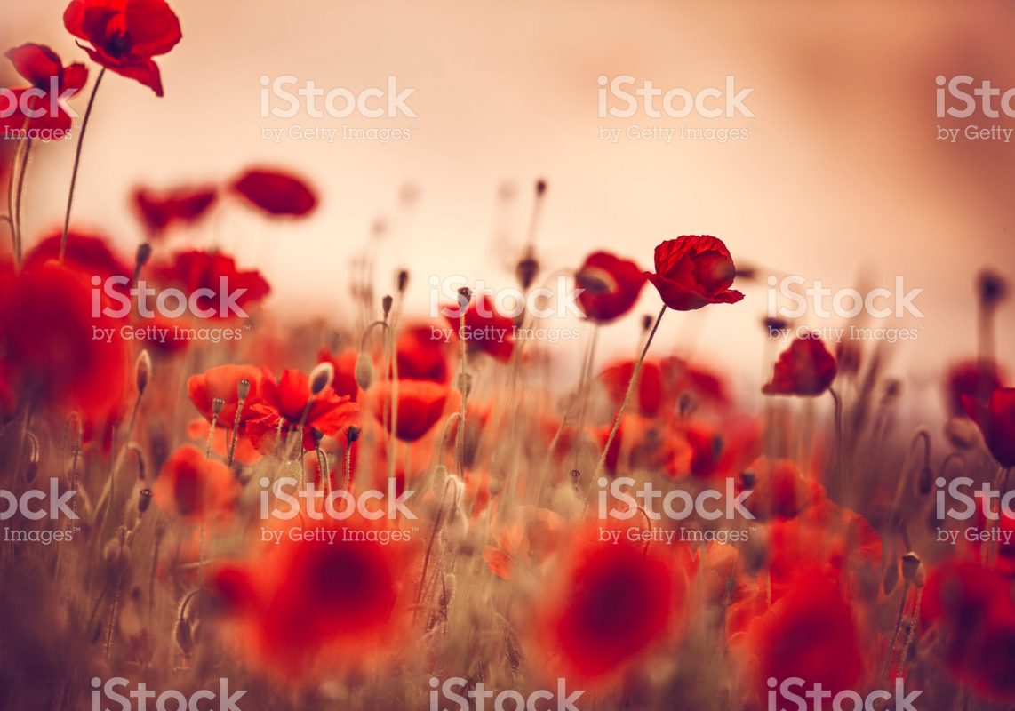 Nature's Wish
