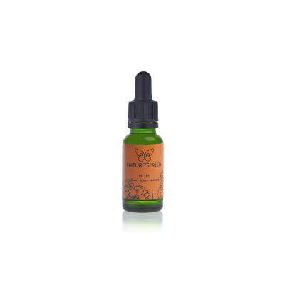 flower-essence-aromatherapy-marigold-angels-trumpet-lavender-eucalyptus