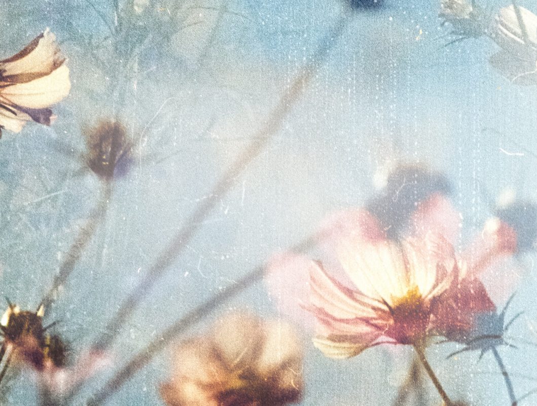 Nature's Wish