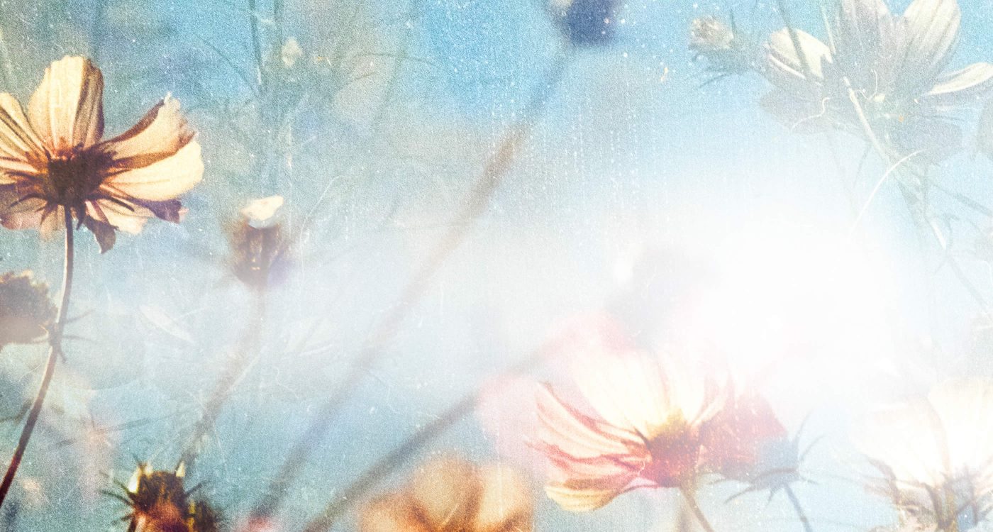 Nature's Wish