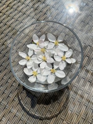 flower essences