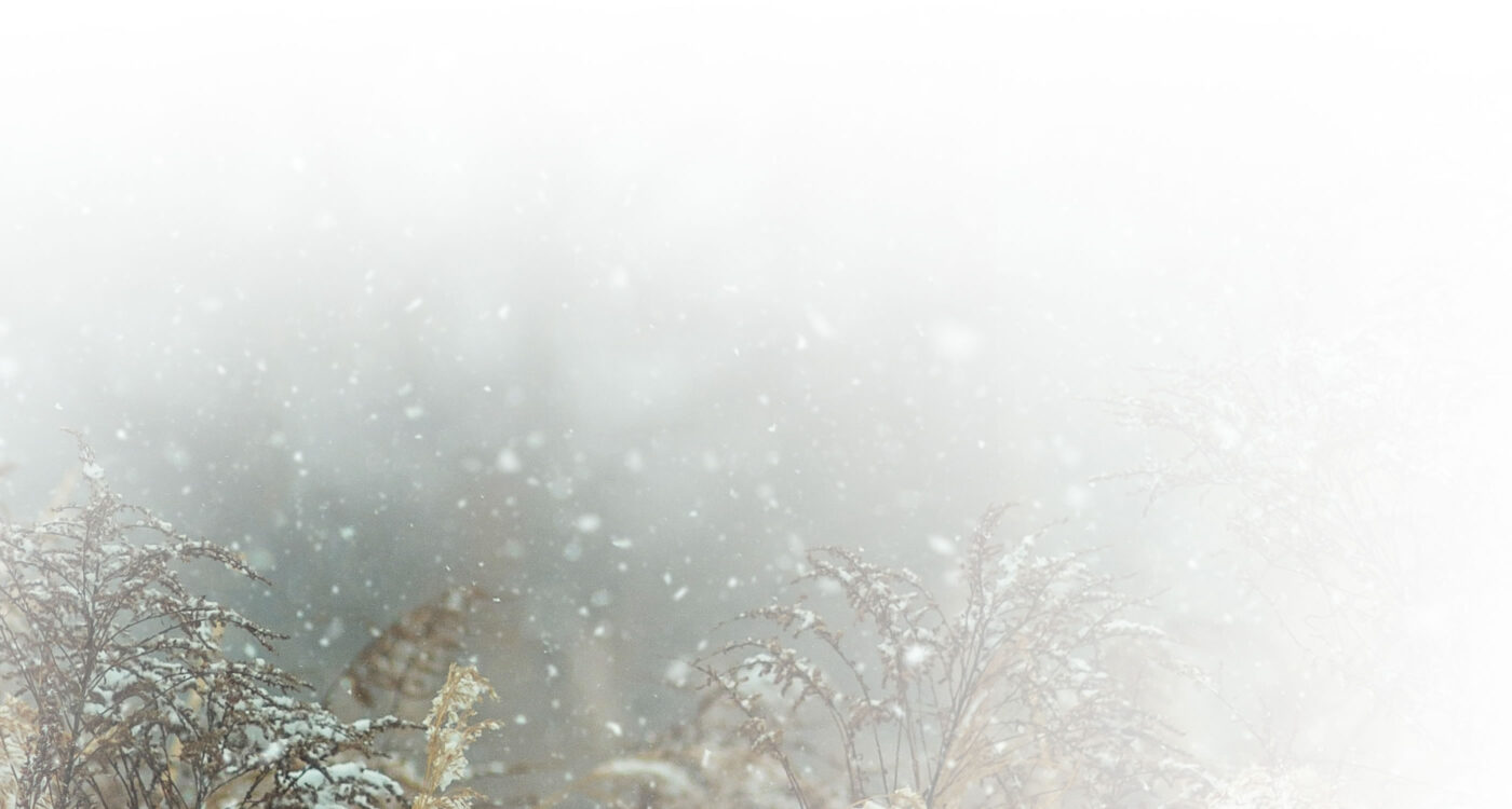Nature's Wish