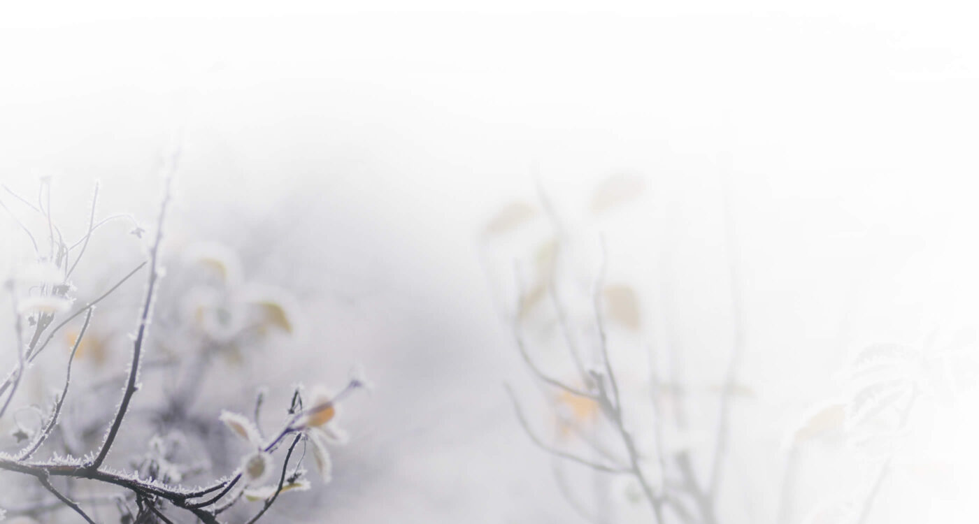 Nature's Wish